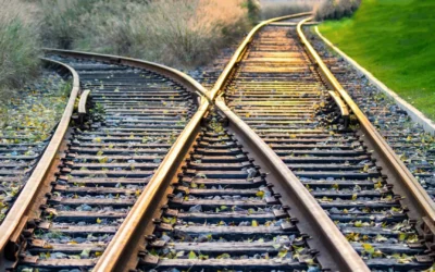 Yetkinlikler: Eşik ve Ayırt Edici Başarı Farkı